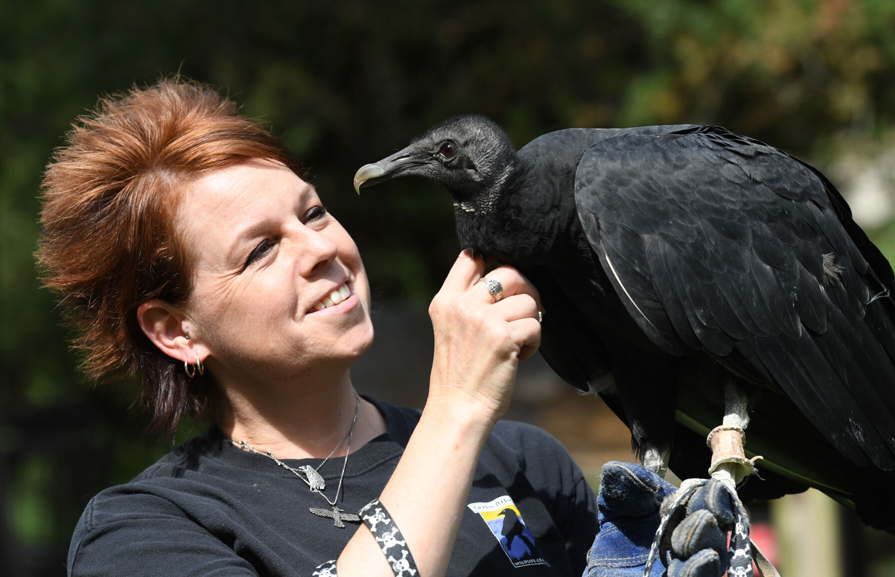 WildlifeRescue003.jpg